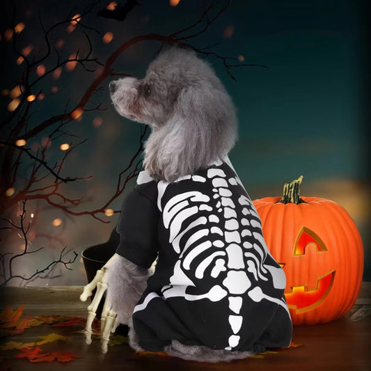 AnniePaw Dog Skeleton Costume - Halloween Dress-Up for Small & Medium Dogs