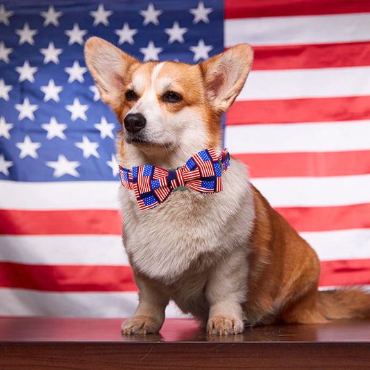 Elegant little tail Independence Day Dog Collar Holiday Pet Collar with Bow Dog Durable Patriotic Dog Collars Pet Gift