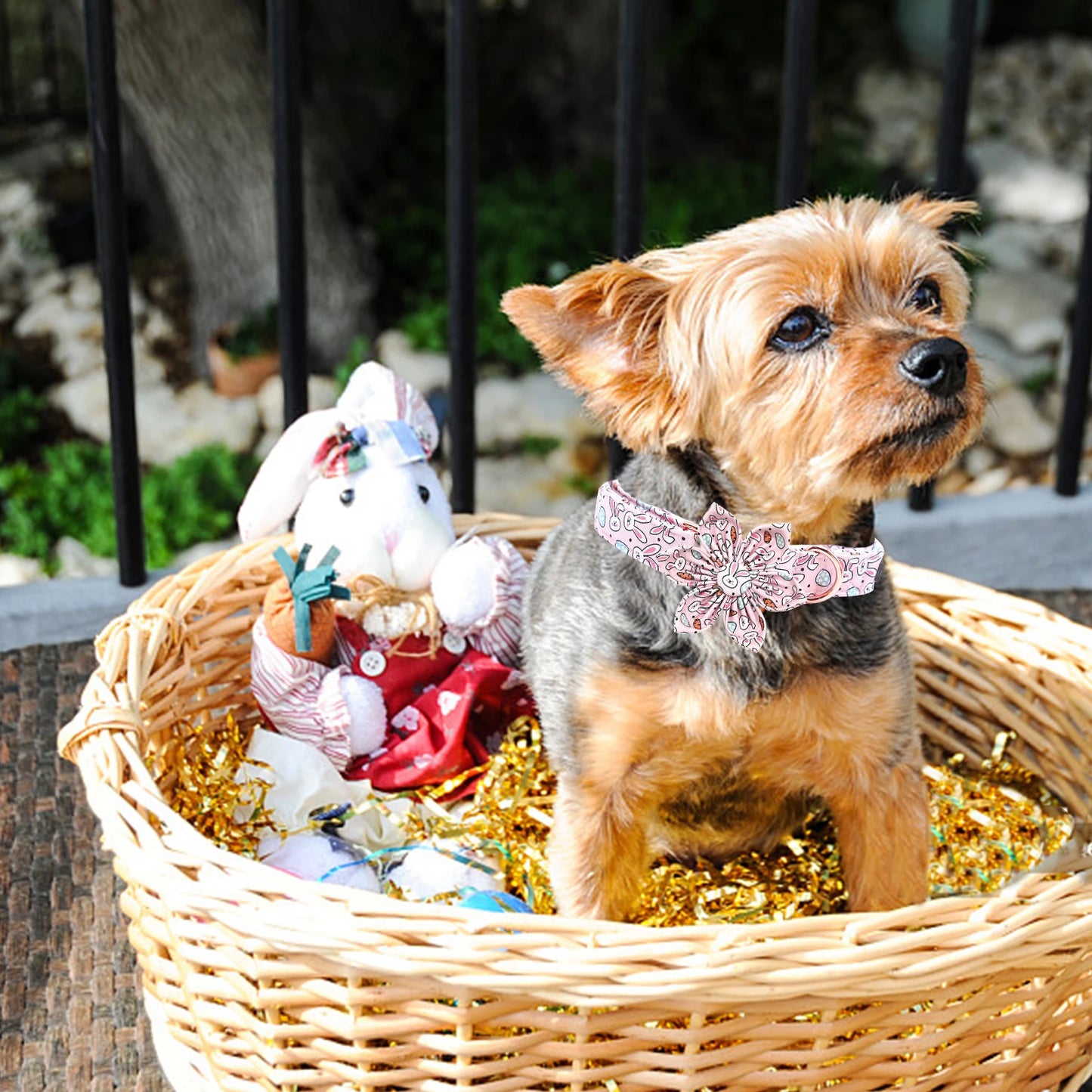 Anniepaw Easter Dog Collar with Bowtie Bunny Carrots Adjustable Cute Pink Anniepaw