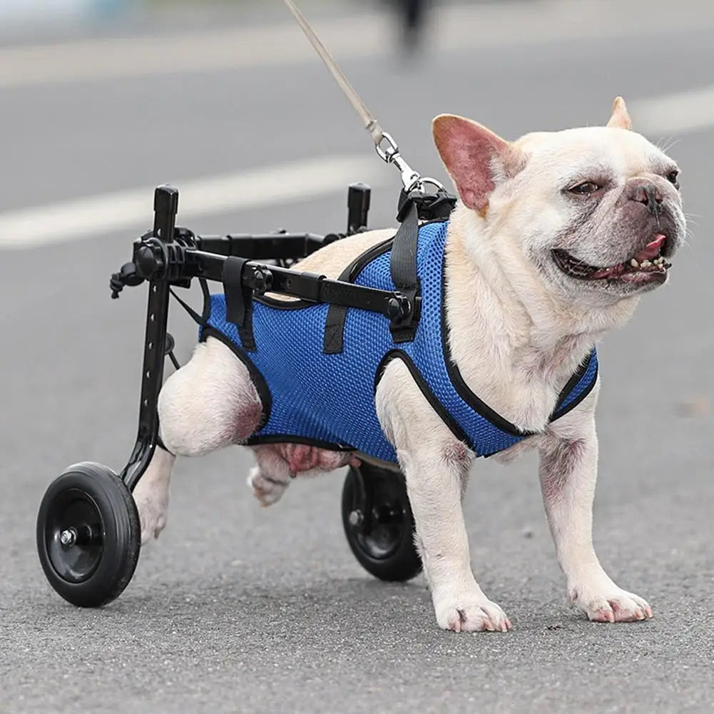 Adjustable Pet Wheelchair - Hind Leg Mobility Aid for Dogs