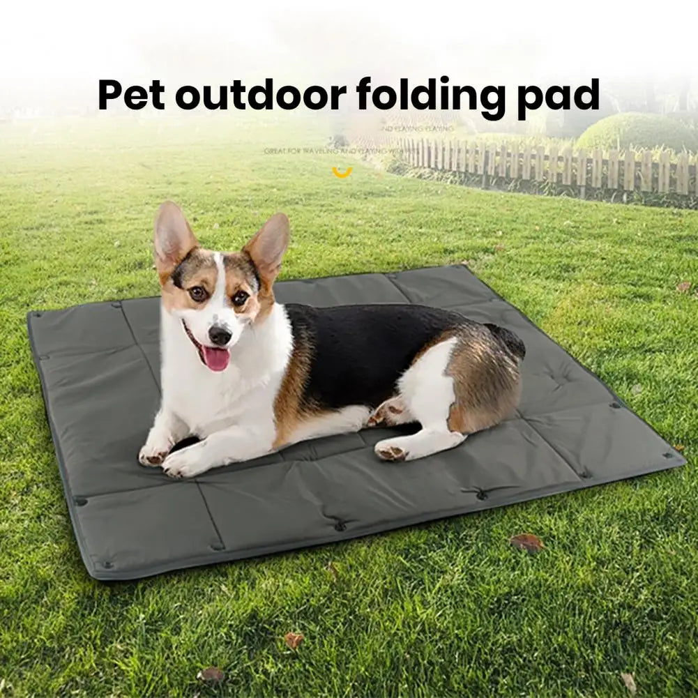 Anniepaw Indoor Waterproof Car Seat Cover Foldable Anti-Scratch Mat