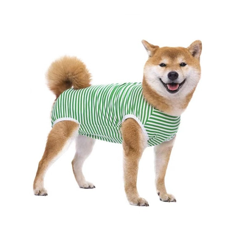 AnniePaw Dog Recovery Suit - Abdominal Support for Post-Op Care AnniePaw Wear