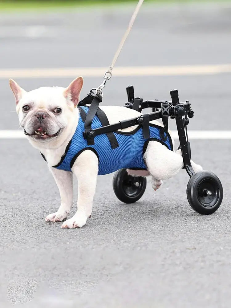 Adjustable Pet Wheelchair - Hind Leg Mobility Aid for Dogs