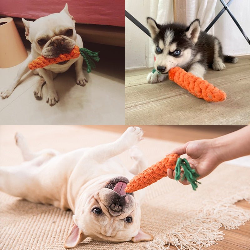 1pc Pet Dog Toys Cartoon Cleaning Teeth Cotton Rope Toy - Annie Paw WeartoyAnniePaw Wear