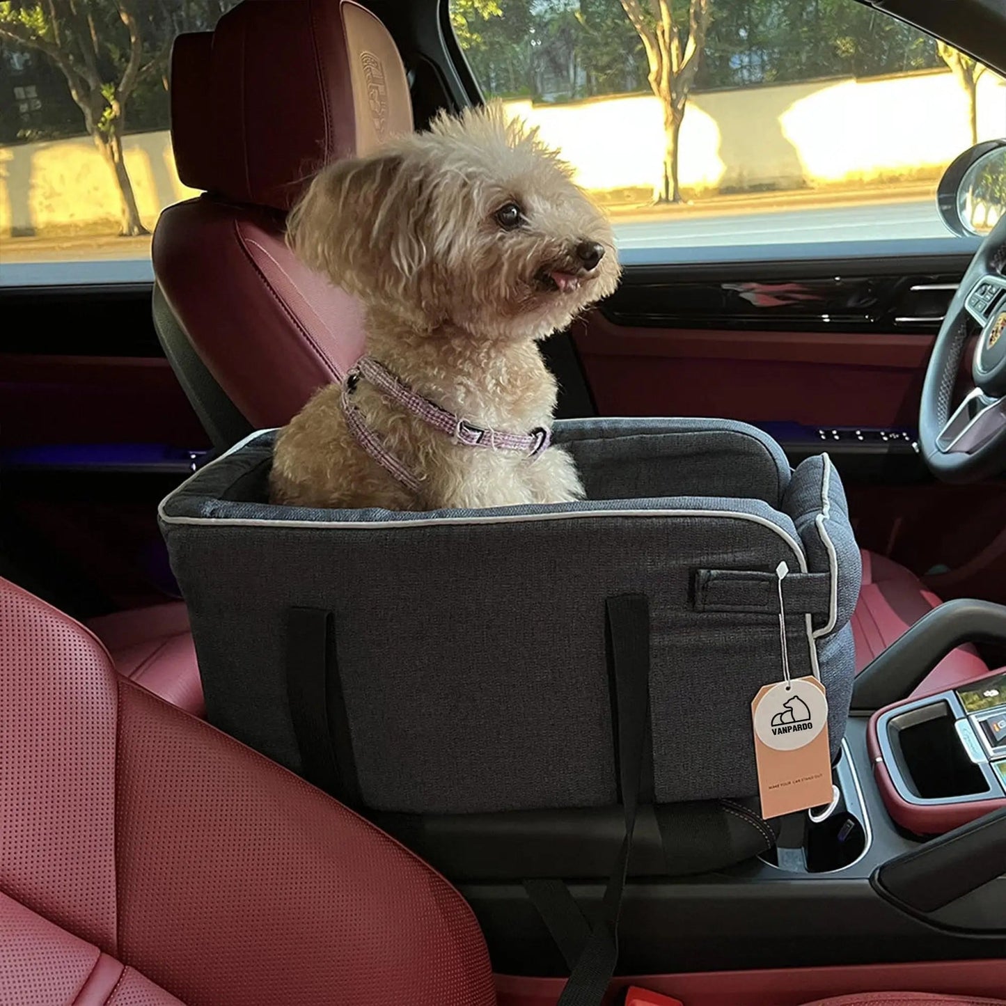 2 in 1 Console Dog Car Seat Double Hand Strap Design, Portable with Handle Safe Car Armrest Box Booster Kennel Bed for Cats Dogs - Annie Paw WearDog Bags/Beds/MatsAnnie Paw Wear