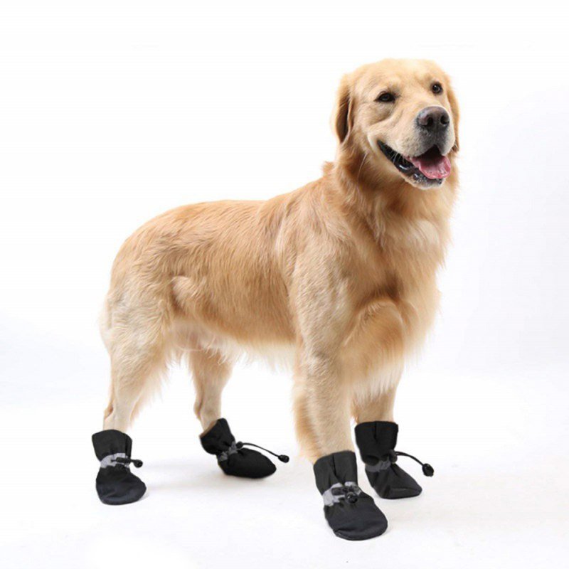 4pcs Anti skid Puppy Shoes Soft-soled Pet Dog Shoes Winter Waterproof - Annie Paw WearShoes &Boots &SocksAnniePaw Wear