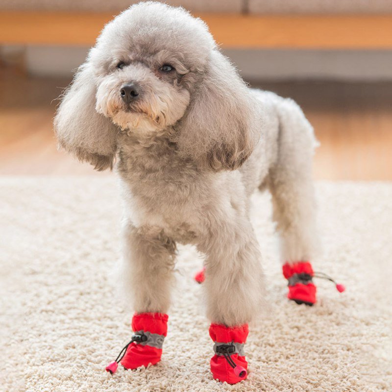 4pcs Anti skid Puppy Shoes Soft-soled Pet Dog Shoes Winter Waterproof - Annie Paw WearShoes &Boots &SocksAnniePaw Wear