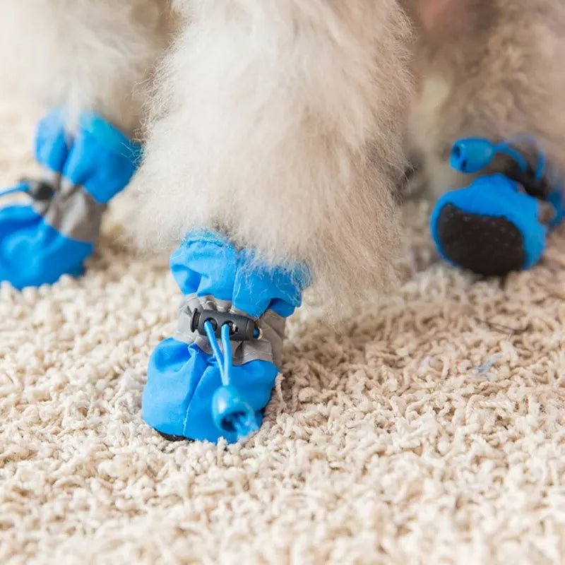Puppy paw shoes online