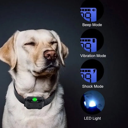 800m Digital Dog Training Collar Waterproof Rechargeable Remote Control Pet with LCD Display for All Size Shock Vibration Sound - Annie Paw WearHome Dog AccessoriesAnnie Paw Wear