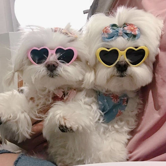 Anniepaw Dog Heart Sunglasses