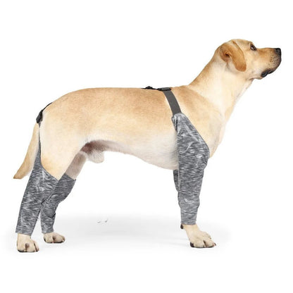 Adjustable Dog Leggings Anti Lick Recovery Dog Sleeves - Annie Paw WearNursing & ReliefAnnie Paw Wear