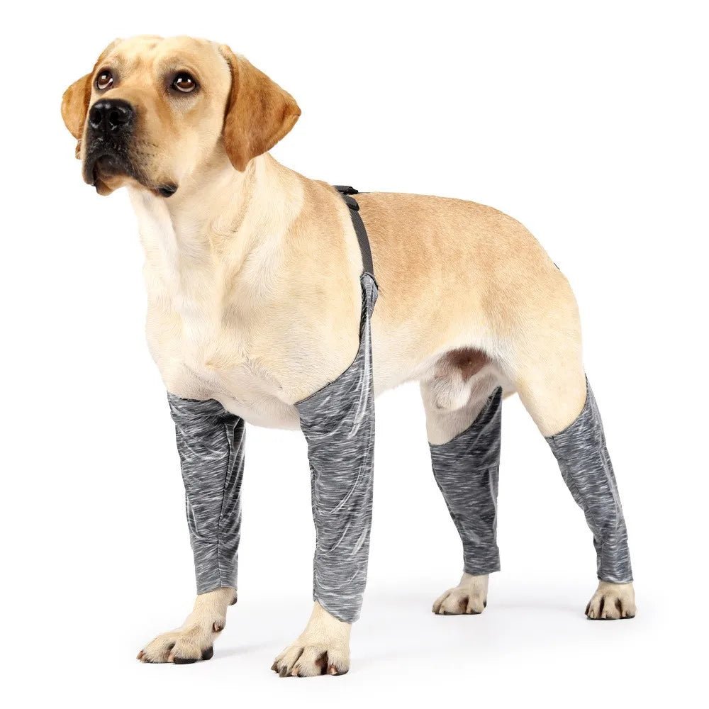 Walkee Paws Waterproof Dog Leggings - Keep Your Dog's' Clean & Dry Without  The Hassle of Boots - Confetti Color (Medium) : Amazon.sg: Pet Supplies