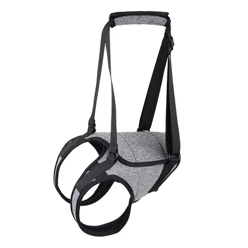 Harness for older dogs hotsell