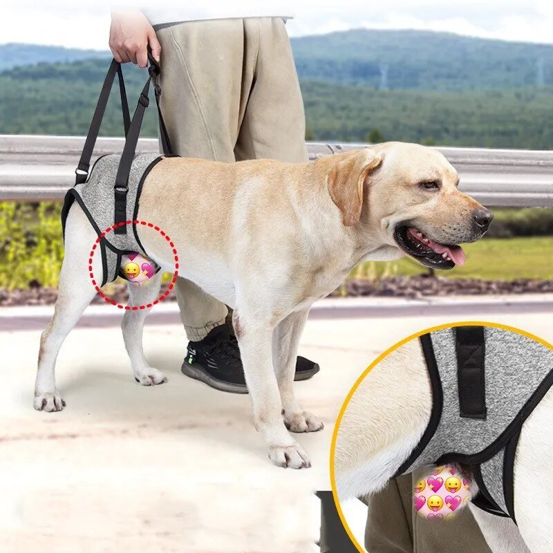 Annie Care Dog Leg Support Harness: Gentle Assistance for Elderly Disabled Dogs - Annie Paw WearNursing & ReliefAnniePaw Wear