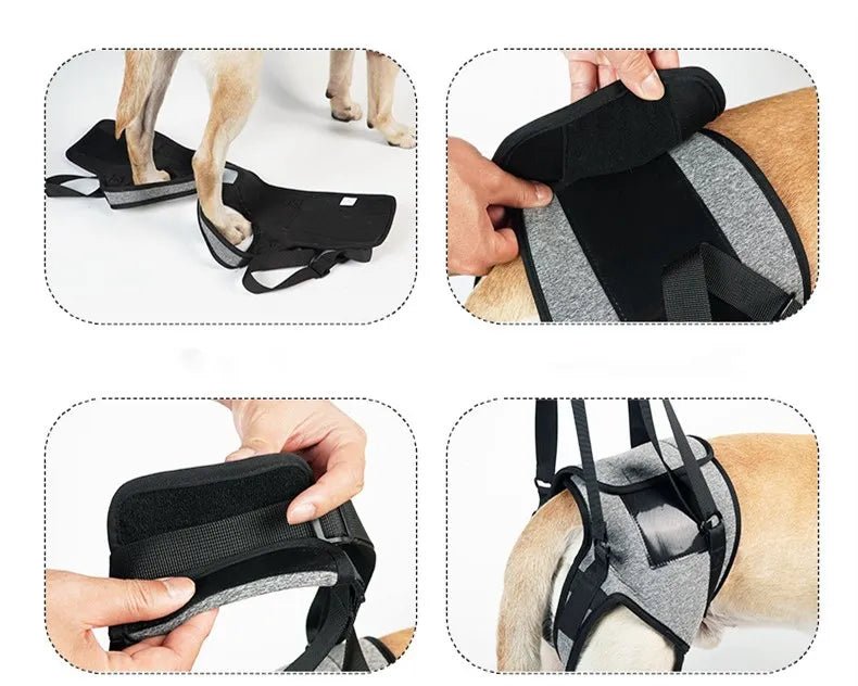 Annie Care Dog Leg Support Harness: Gentle Assistance for Elderly Disabled Dogs - Annie Paw WearNursing & ReliefAnniePaw Wear