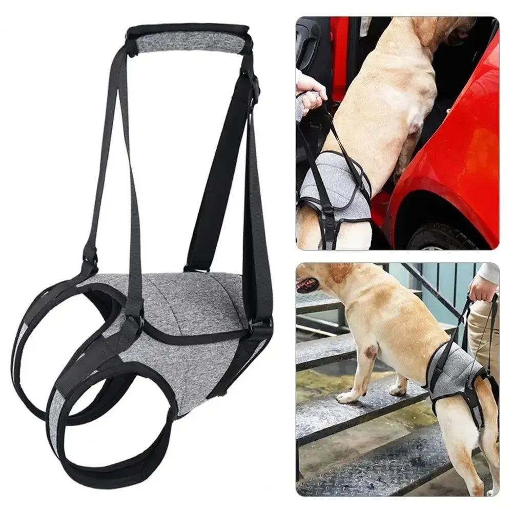 Annie Care Dog Leg Support Harness Gentle Assistance for Elderly Disabled Dogs AnniePaw Wear