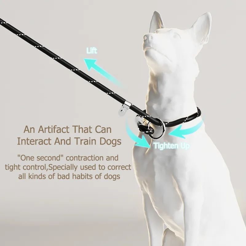 Annie Paw LumiLeash Pro: All-in-One Dog Leash - Integrated Waste Storage Reflective Nylon Anti-Burst Harness - Annie Paw WearCollar & LeashAnniePaw Wear