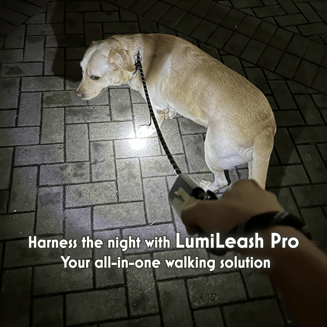 Annie Paw LumiLeash Pro: All-in-One Dog Leash - Integrated Waste Storage Reflective Nylon Anti-Burst Harness - Annie Paw WearCollar & LeashAnniePaw Wear