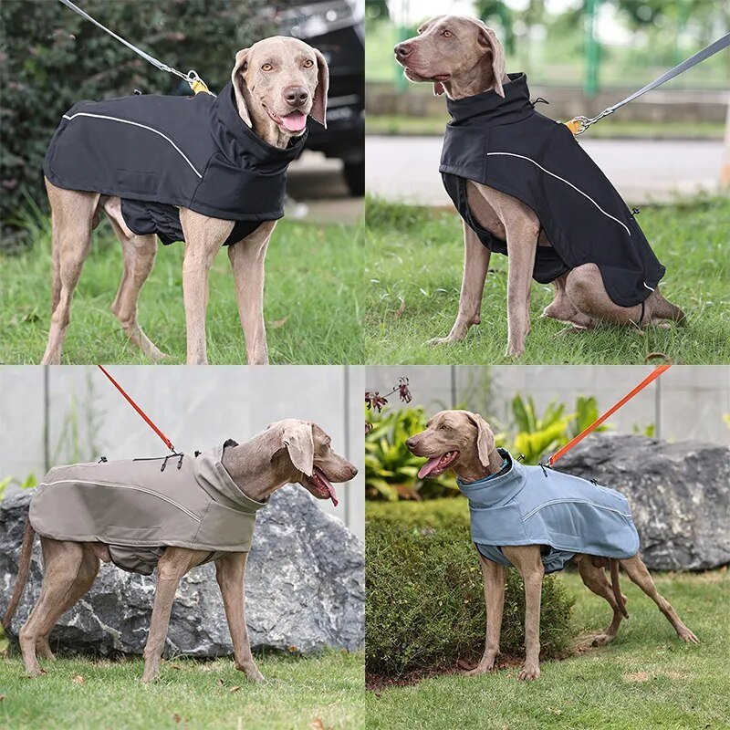 Aurora Elite Waterproof Windbreaker Coat - Annie Paw WearWinter OutwearAnniePaw Wear