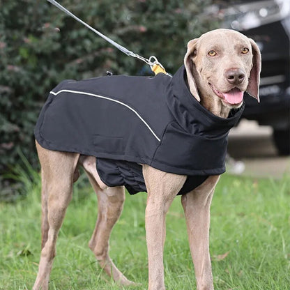 Aurora Elite Waterproof Windbreaker Coat - Annie Paw WearWinter OutwearAnniePaw Wear