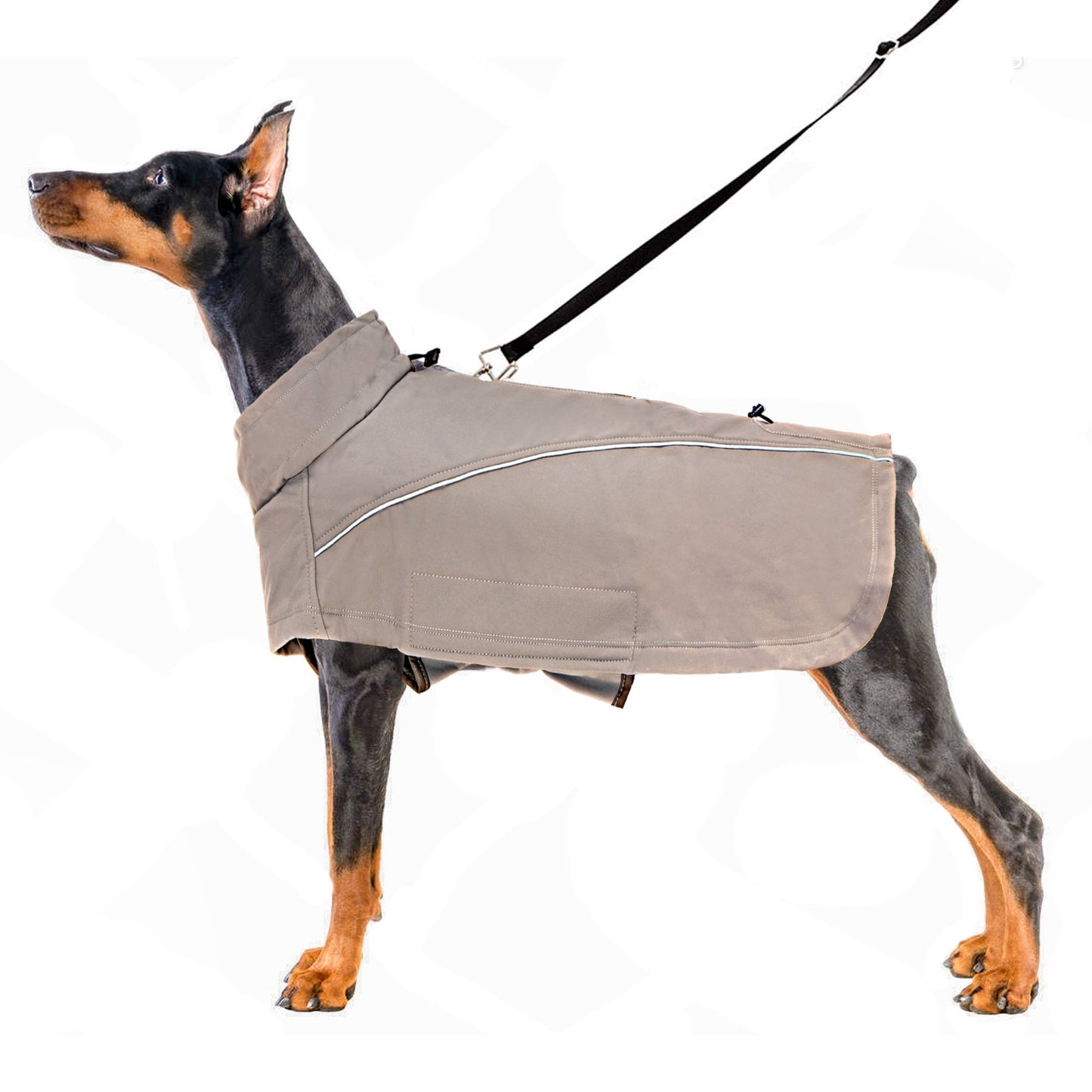 Aurora Elite Waterproof Windbreaker Coat - Annie Paw WearWinter OutwearAnniePaw Wear