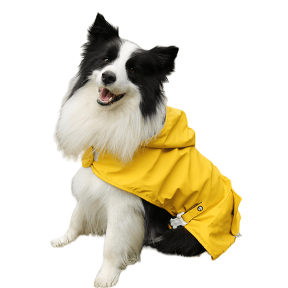 Aurora Paws NatureShield Chic Dog Waterproof Raincoat - Annie Paw WearRaincoatAnniePaw Wear