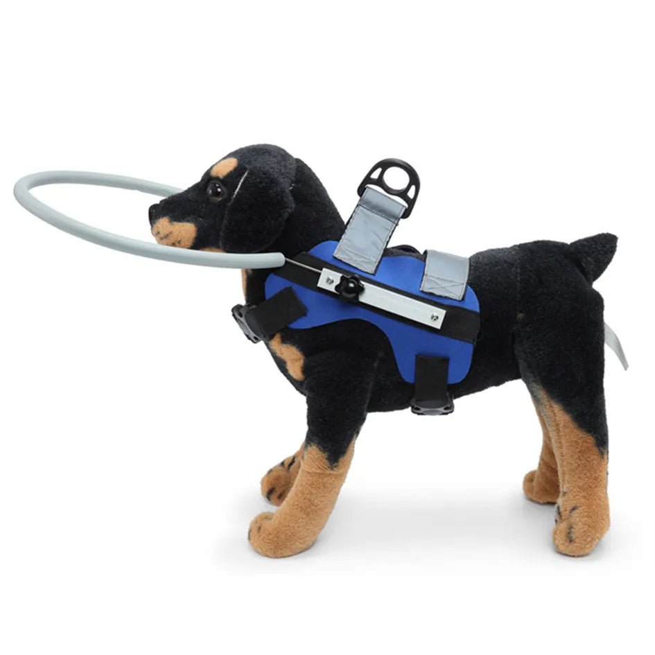 Blind Dogs Safe Harness with Anti Collision Ring Guiding Device - Annie Paw WearNursing & ReliefAnnie Paw Wear