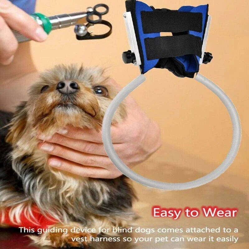 Blind Dogs Safe Harness with Anti Collision Ring Guiding Device - Annie Paw WearNursing & ReliefAnnie Paw Wear