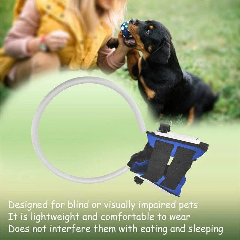 Blind Dogs Safe Harness with Anti Collision Ring Guiding Device - Annie Paw WearNursing & ReliefAnnie Paw Wear