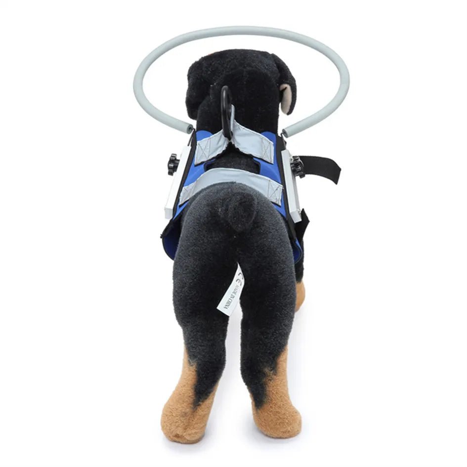 Blind Dogs Safe Harness with Anti Collision Ring Guiding Device - Annie Paw WearNursing & ReliefAnnie Paw Wear