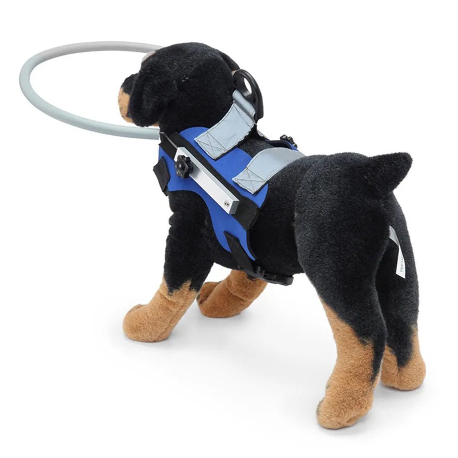 Blind Dogs Safe Harness with Anti Collision Ring Guiding Device - Annie Paw WearNursing & ReliefAnnie Paw Wear