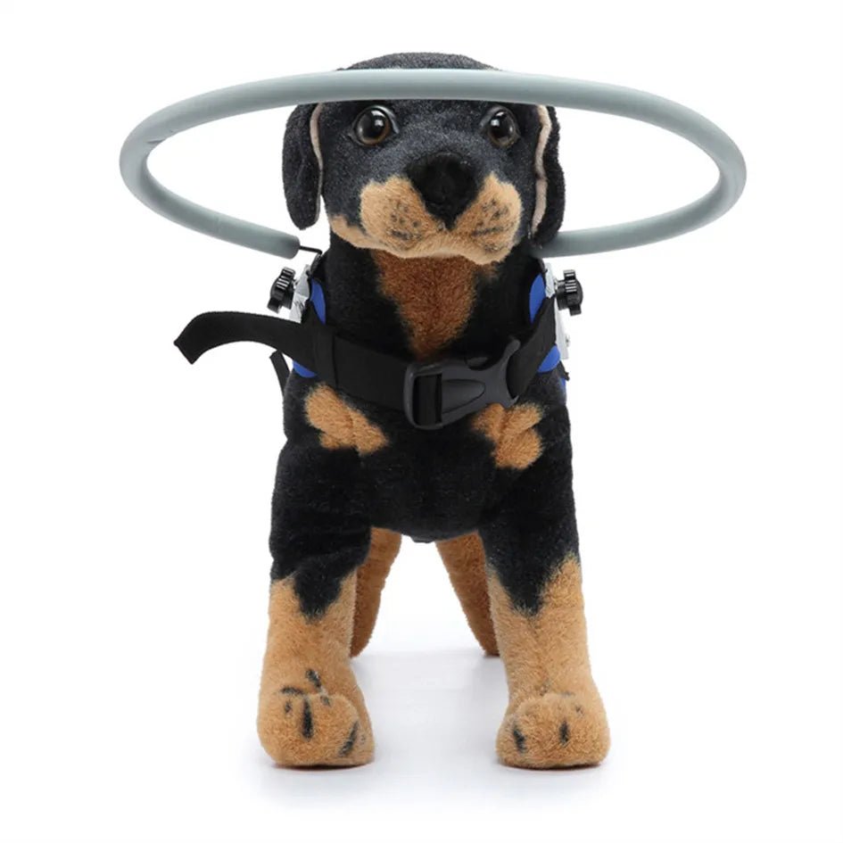 Blind Dogs Safe Harness with Anti Collision Ring Guiding Device - Annie Paw WearNursing & ReliefAnnie Paw Wear