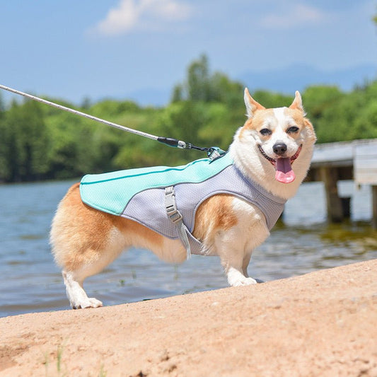 Brooklyn Breeze Cooling Doggy Top - Annie Paw WearSummer OutwearAnniePaw Wear