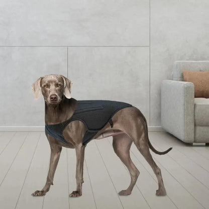 CareTech Back Support Brace Comfort Vest for Dogs of All Sizes - Annie Paw WearNursing & ReliefAnniePaw Wear