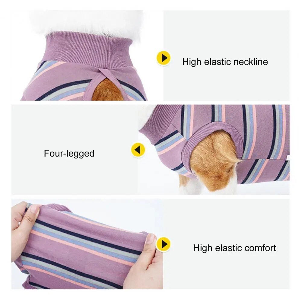 CareTech Dog Healing Recovery Suit: Comfortable Sterilization - Annie Paw WearNursing & ReliefAnniePaw Wear