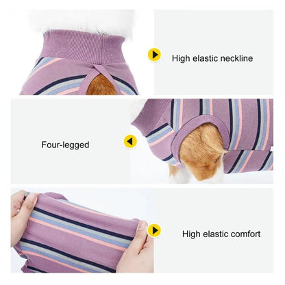 CareTech Dog Healing Recovery Suit: Comfortable Sterilization - Annie Paw WearNursing & ReliefAnniePaw Wear