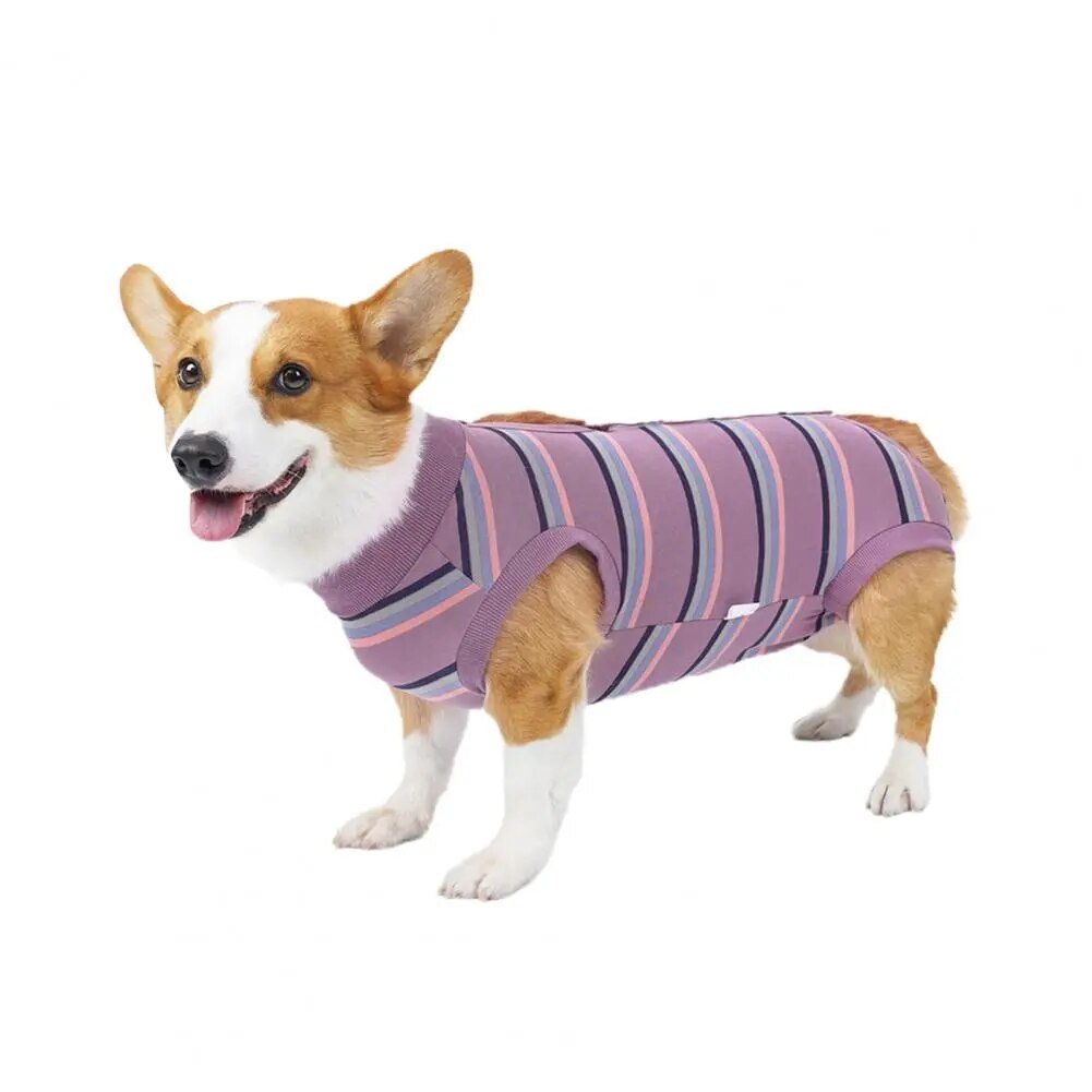 CareTech Dog Healing Recovery Suit: Comfortable Sterilization - Annie Paw WearNursing & ReliefAnniePaw Wear