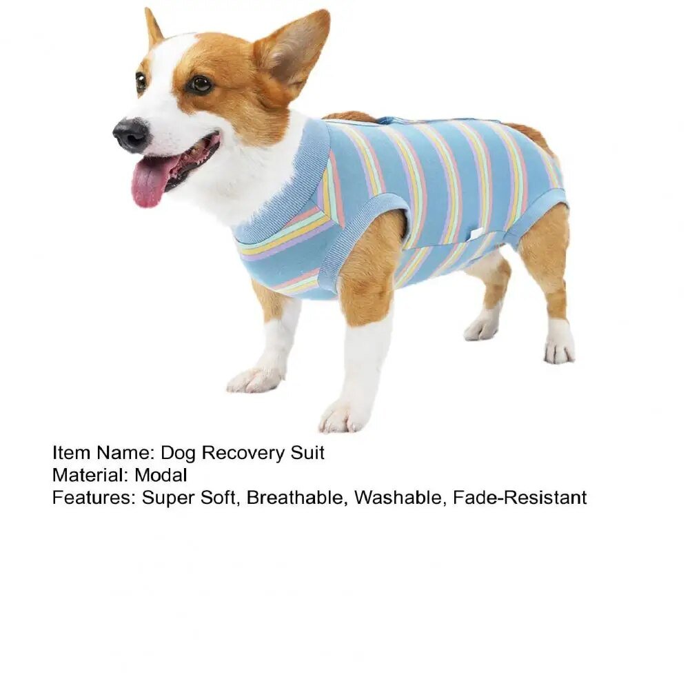 CareTech Dog Healing Recovery Suit: Comfortable Sterilization - Annie Paw WearNursing & ReliefAnniePaw Wear