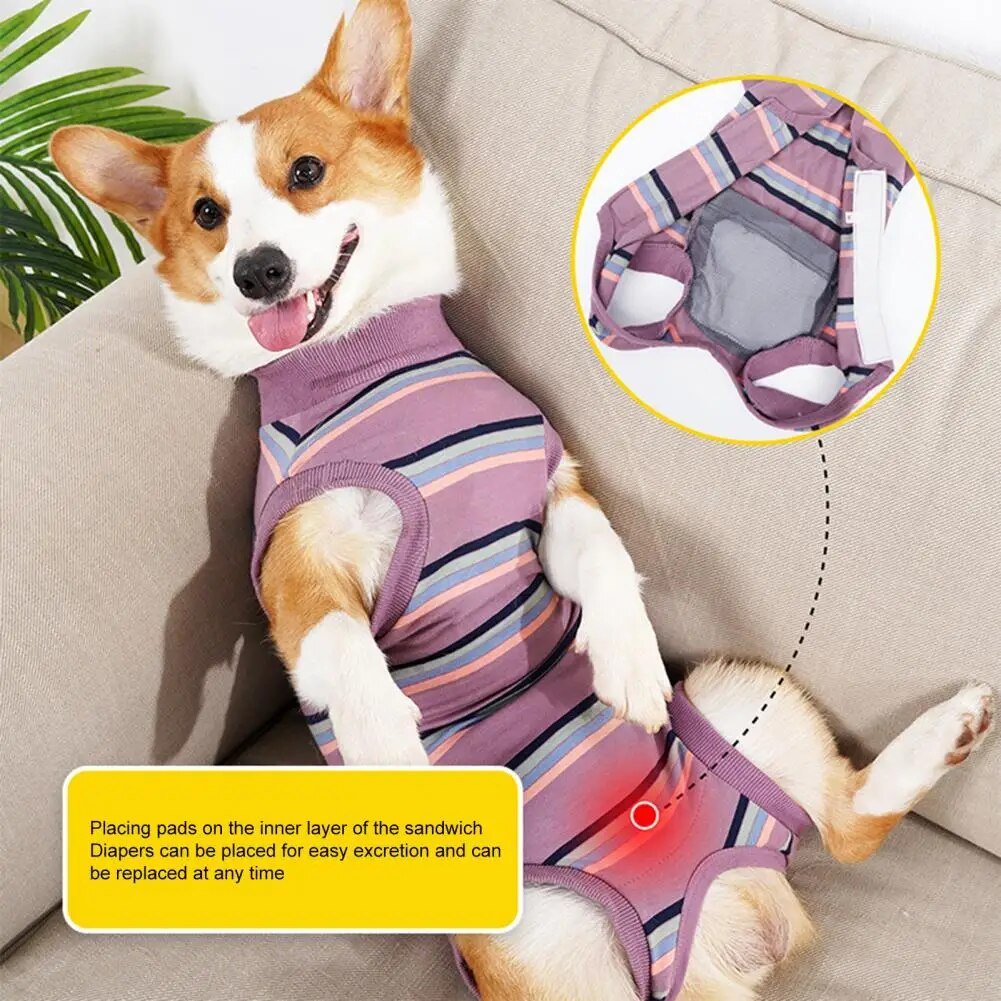 CareTech Dog Healing Recovery Suit: Comfortable Sterilization - Annie Paw WearNursing & ReliefAnniePaw Wear