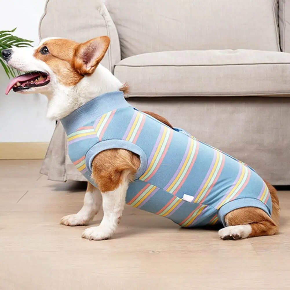 CareTech Dog Healing Recovery Suit: Comfortable Sterilization - Annie Paw WearNursing & ReliefAnniePaw Wear