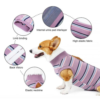 CareTech Dog Healing Recovery Suit: Comfortable Sterilization - Annie Paw WearNursing & ReliefAnniePaw Wear