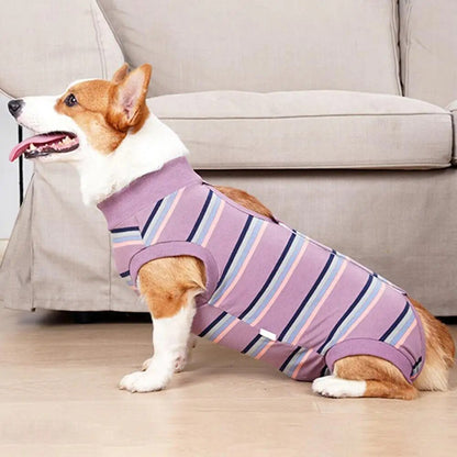 CareTech Dog Healing Recovery Suit: Comfortable Sterilization - Annie Paw WearNursing & ReliefAnniePaw Wear