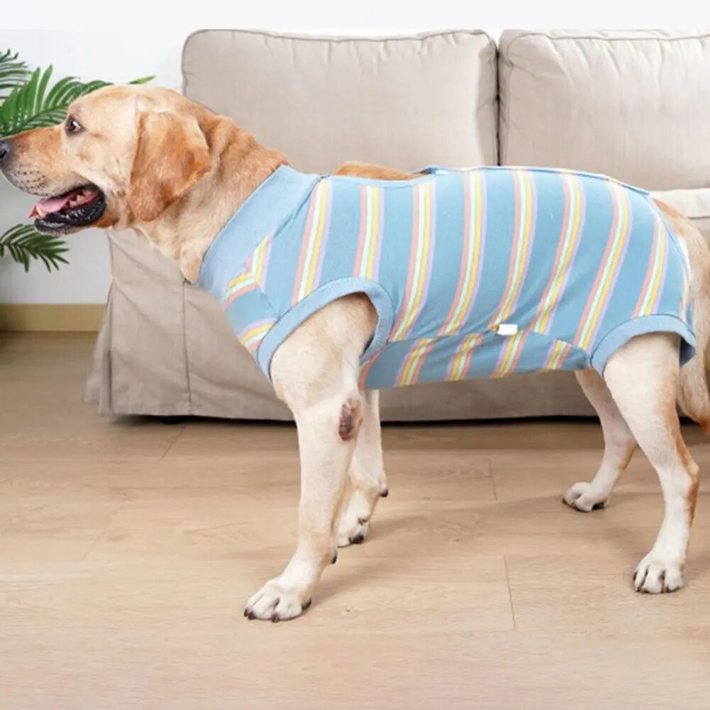 CareTech Dog Healing Recovery Suit: Comfortable Sterilization - Annie Paw WearNursing & ReliefAnniePaw Wear