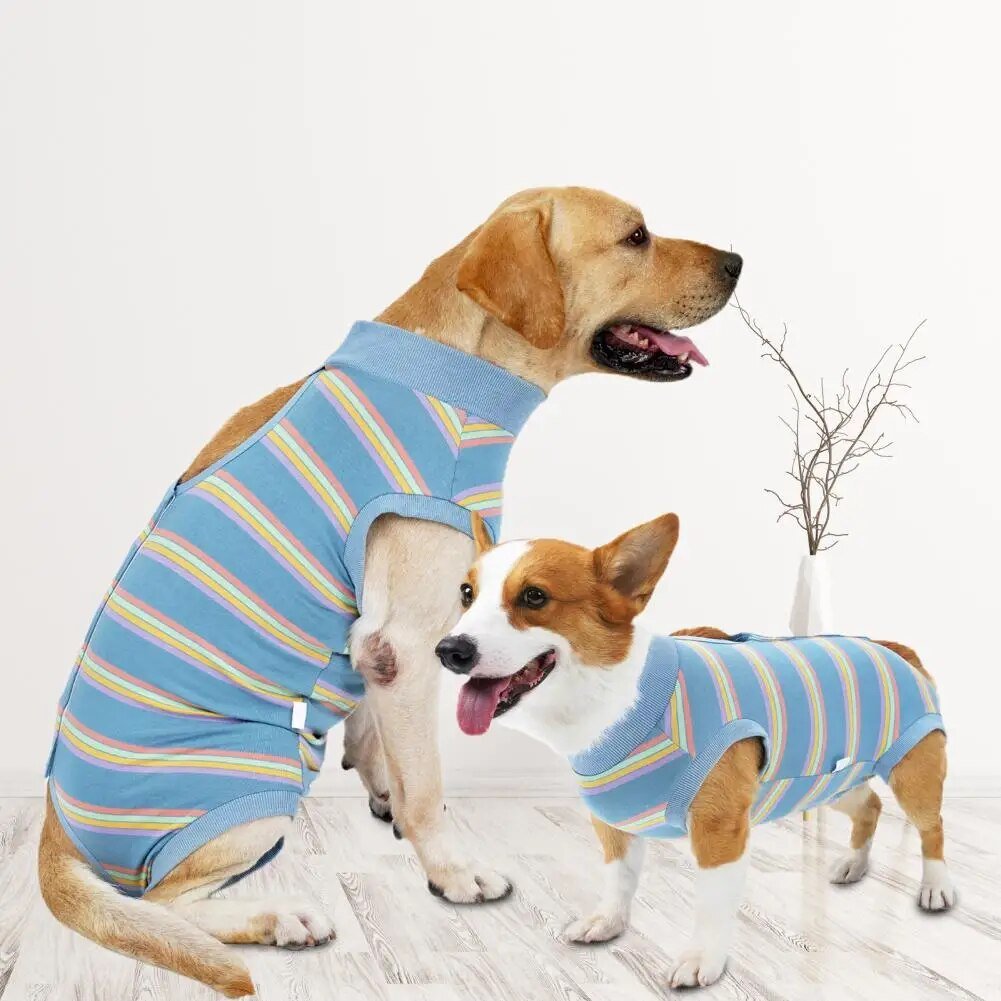 CareTech Dog Healing Recovery Suit: Comfortable Sterilization - Annie Paw WearNursing & ReliefAnniePaw Wear