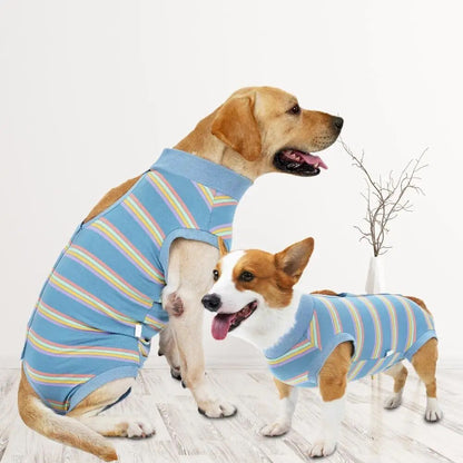 CareTech Dog Healing Recovery Suit: Comfortable Sterilization - Annie Paw WearNursing & ReliefAnniePaw Wear