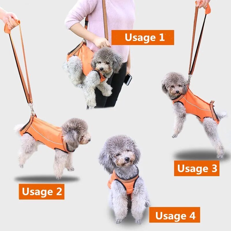 CareTech Dogs Walking Support Harness Recovery Aid for Small Medium Dogs - Annie Paw WearNursing & ReliefAnniePaw Wear