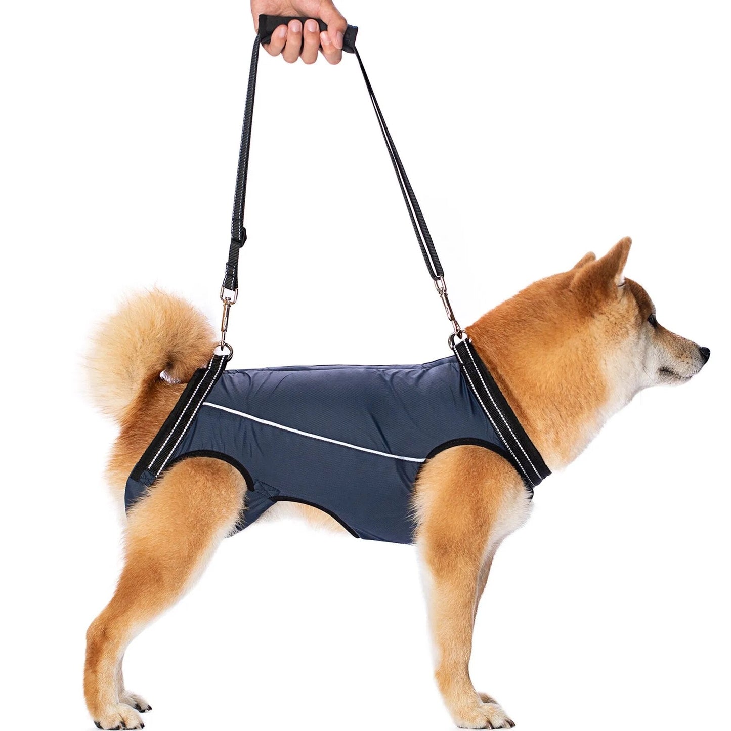 CareTech Dogs Walking Support Harness Recovery Aid for Small Medium Dogs - Annie Paw WearNursing & ReliefAnniePaw Wear