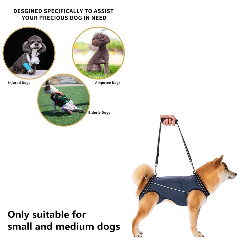 CareTech Dogs Walking Support Harness Recovery Aid for Small Medium Dogs - Annie Paw WearNursing & ReliefAnniePaw Wear