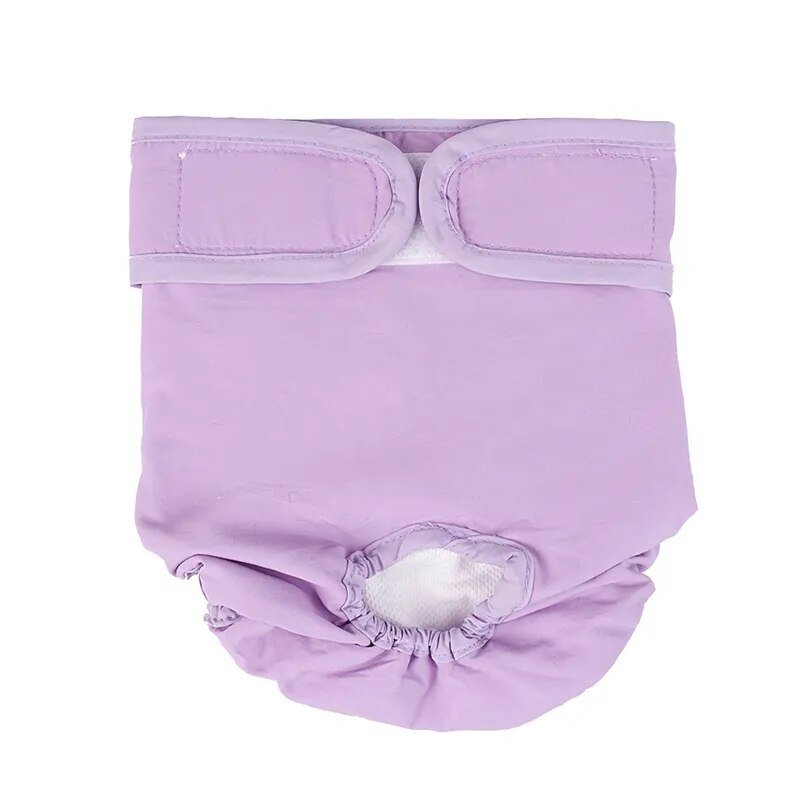 CareTech Pet Physiological Underwear: Sanitary and Washable Dog Panties - Annie Paw WearNursing & ReliefAnniePaw Wear