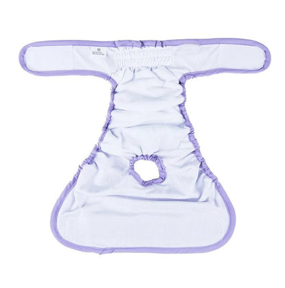 CareTech Pet Physiological Underwear: Sanitary and Washable Dog Panties - Annie Paw WearNursing & ReliefAnniePaw Wear